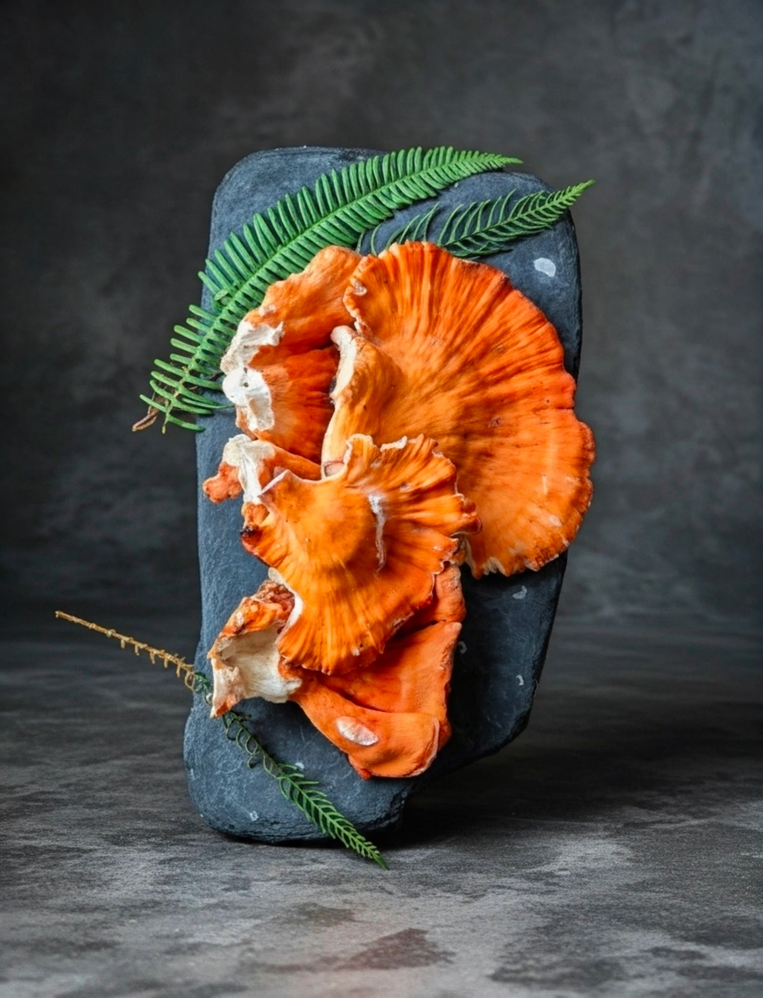 Foraged mushroom on dark stone